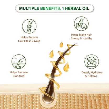 Niconi Herbal Hair Oil