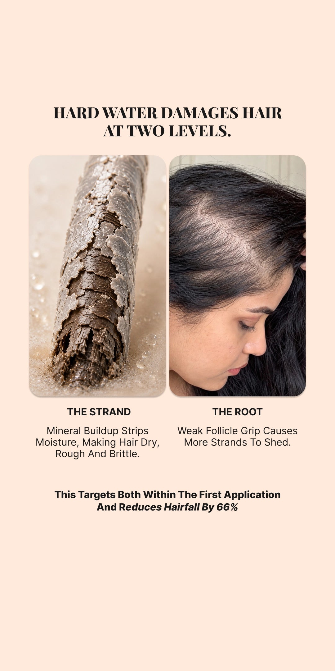 Root Boost
