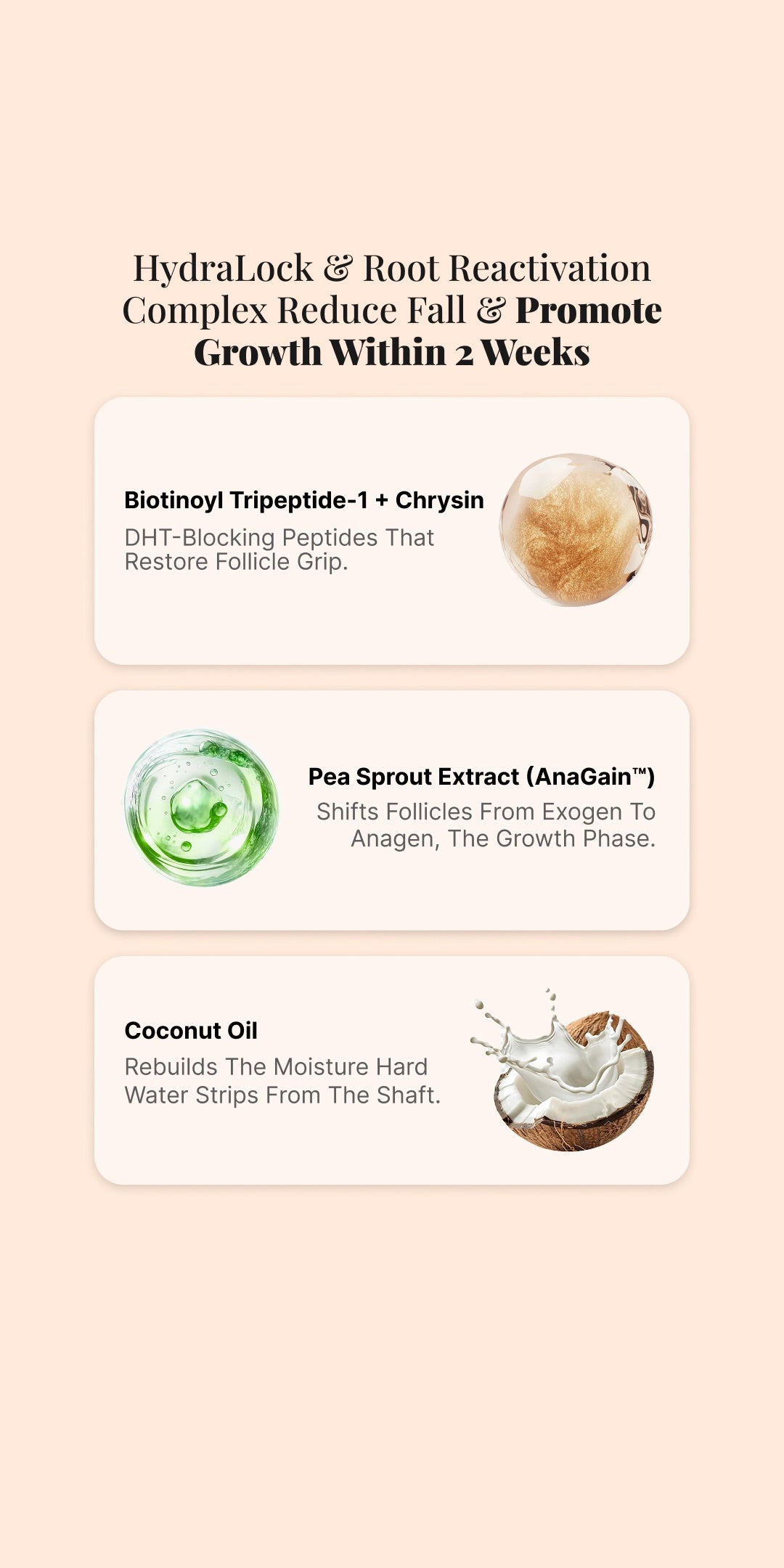 Root Boost