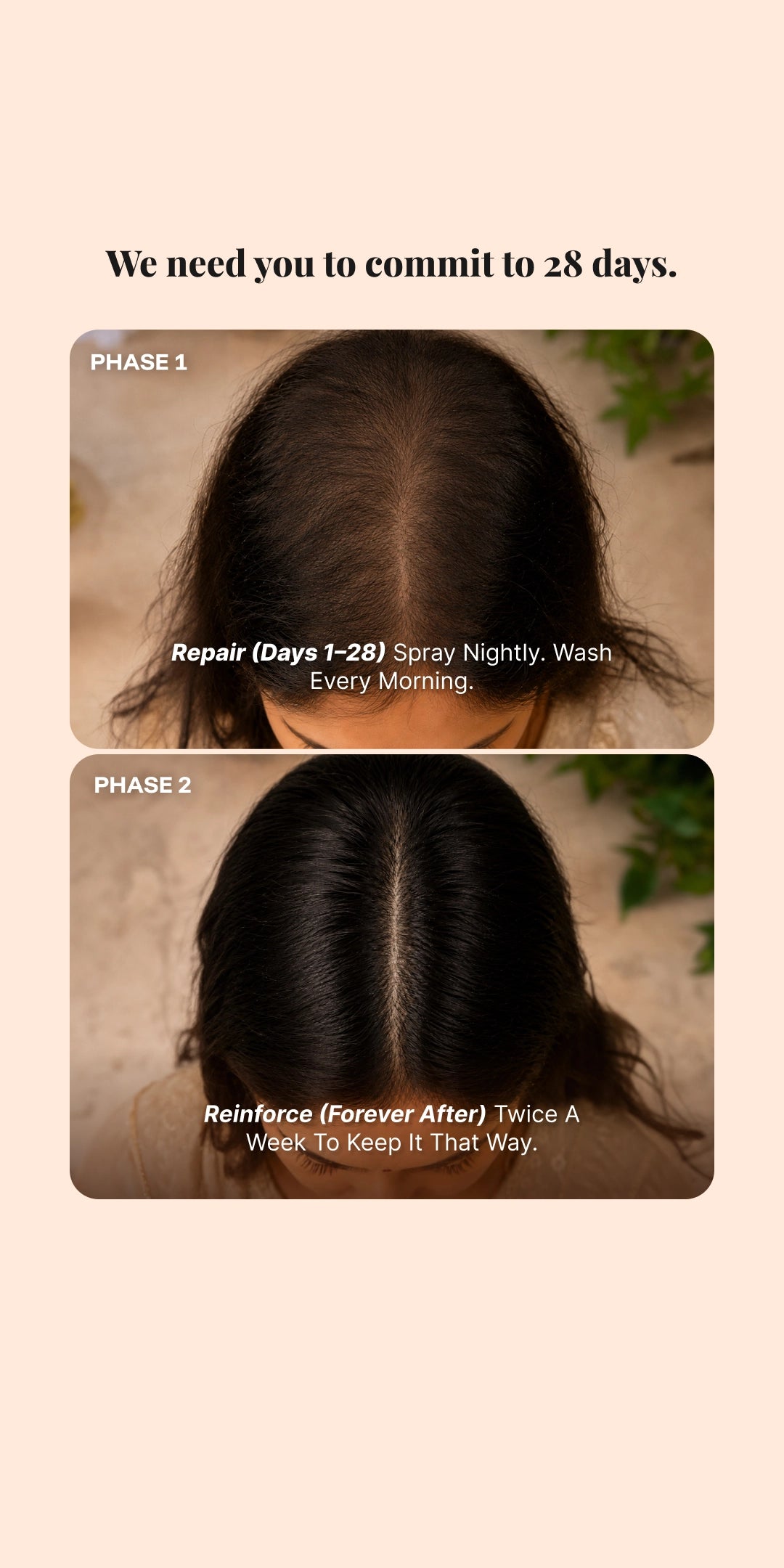Root Boost